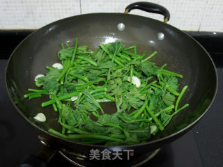 Stir-fried Pumpkin Seedlings recipe