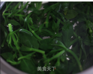 Wild Vegetables for Dispelling Fire in Spring——ginger and Andrographis recipe