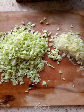 Homemade Shrimp Dumplings recipe