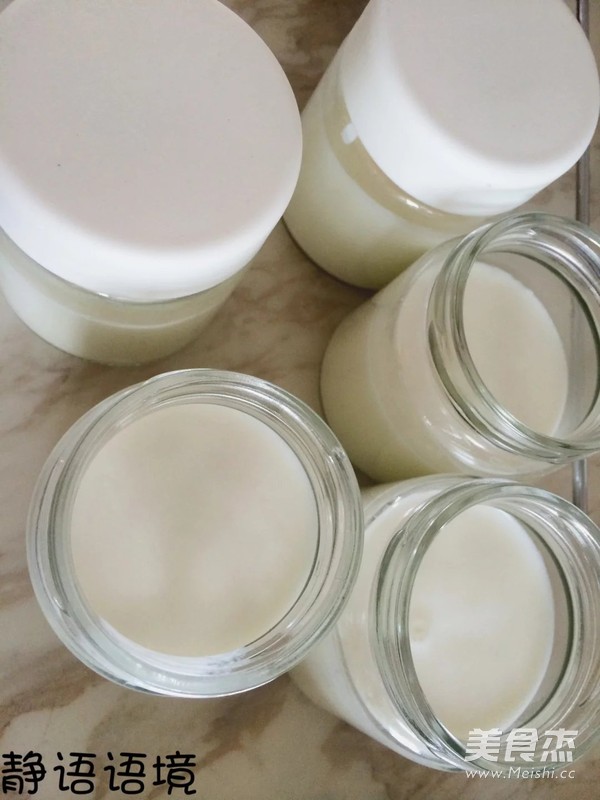 Homemade Yogurt recipe