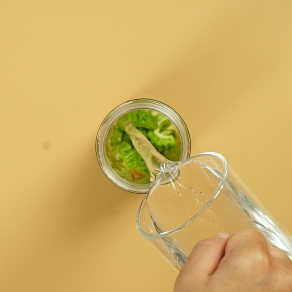 Bitter Gourd Juice recipe