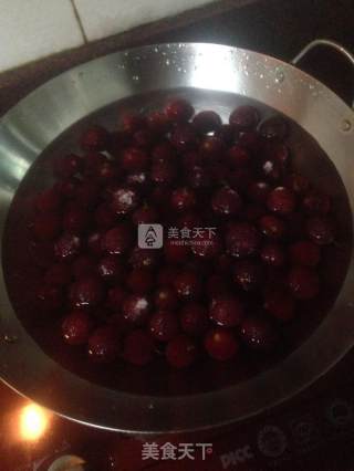 Homemade Dried Bayberry recipe