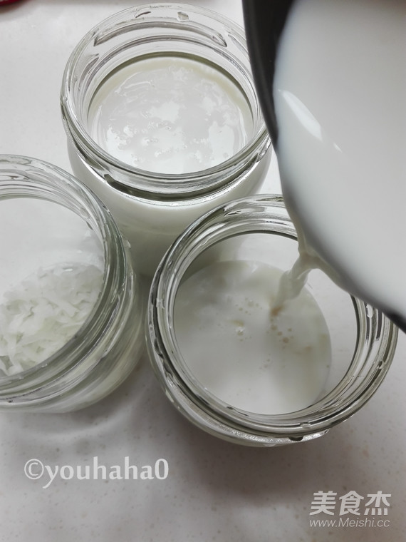 Coconut Yogurt recipe