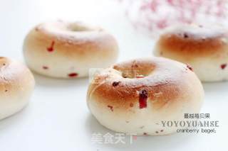 #aca烤明星大赛#cranberry Bagels recipe
