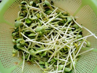 Delicious Home-learning Little Stir-fried Garlic Black Bean Sprouts recipe