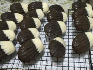 #aca烤明星大赛#chocolate Madeleine Cake recipe