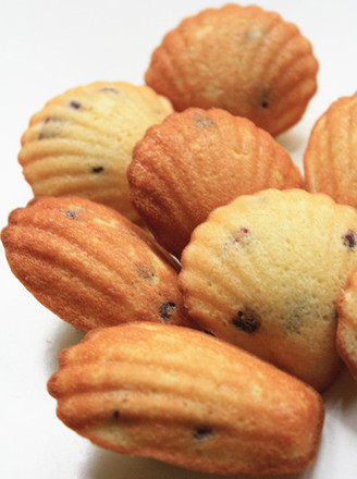 Cranberry Madeleine recipe