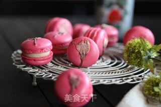 French Sakura Macaron recipe