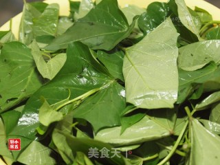 Stir-fried Bean Paste with Sweet Potato Leaves: Follow Folk Songs to Find Food recipe