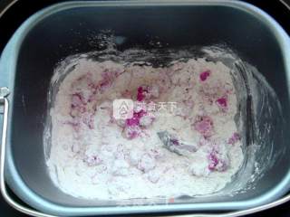 #aca烤明星大赛#pitaya Rice Cake [zero Failure in Bread Machine Version] recipe