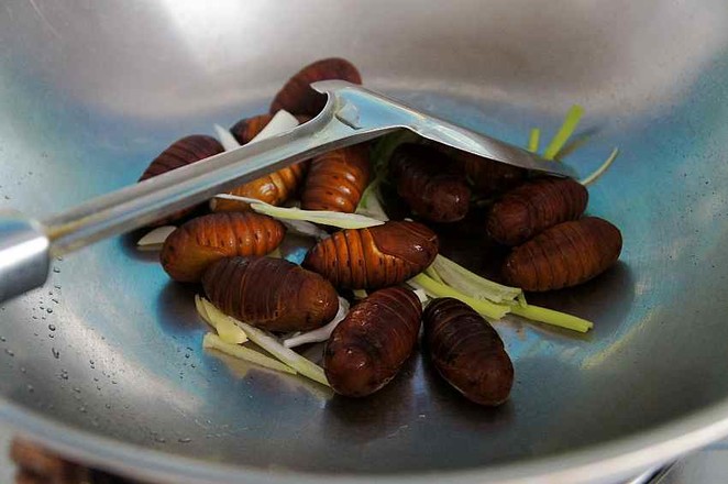 Stir-fried Silkworm Pupa with Green Onion and Ginger recipe