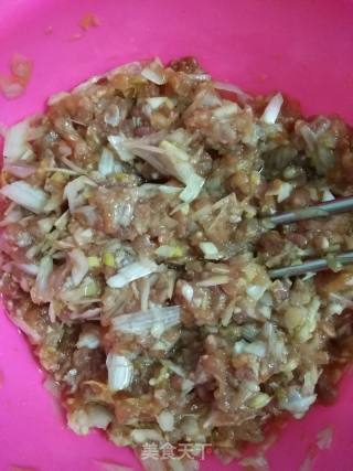 Steamed Dumplings with Yeast Cabbage recipe