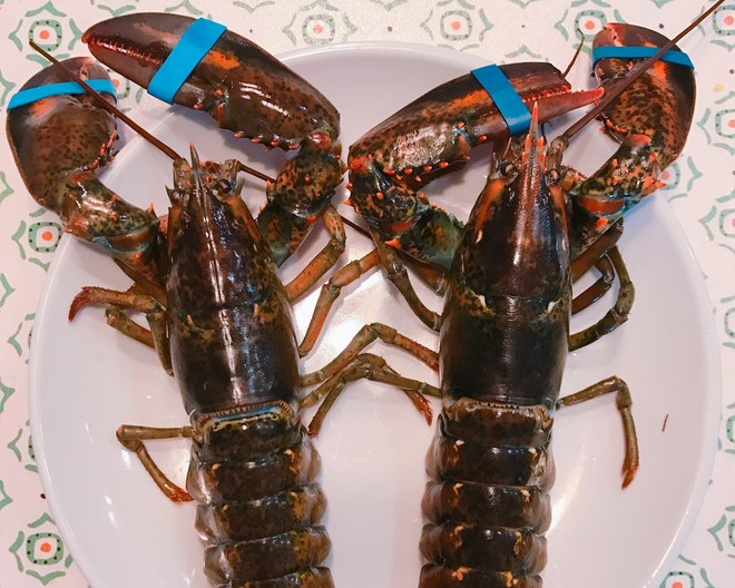 Boston Lobster-one Shrimp, Three Eats