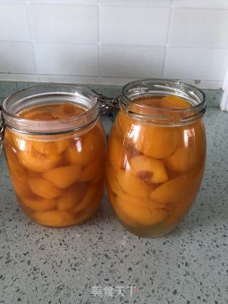 Canned Apricots recipe