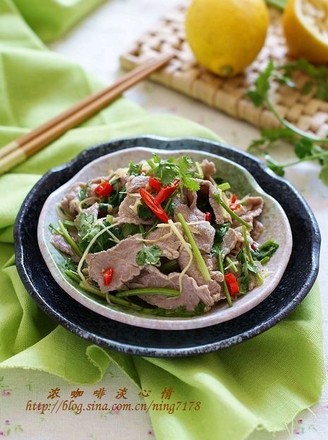 Thai Hot and Sour Beef recipe