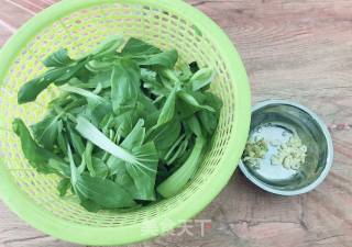 Stir-fried Vegetable Seedlings recipe