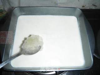 Cranberry Milk Pudding recipe