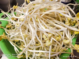 Stir-fried Pork Belly with Bean Sprouts recipe