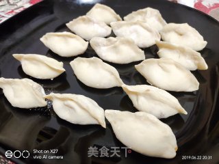 Shrimp and Pork Dumplings recipe