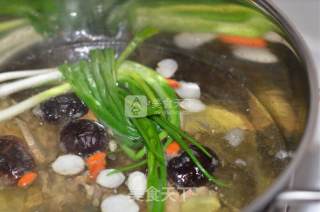 Turtle Soup with Ginseng, Mushroom and Mushroom recipe