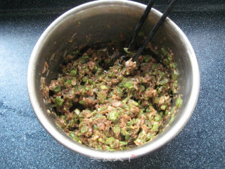 Steamed Dumplings with Pork and Lentil Noodles recipe