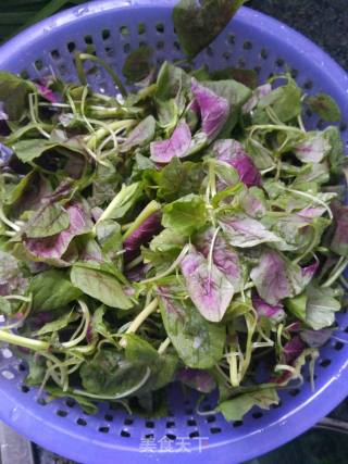 Quickly Blanch Amaranth recipe
