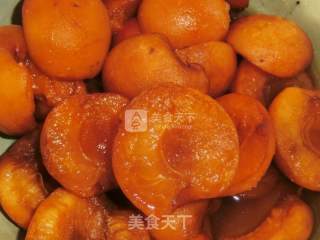 Mint Apricot Jam, A Jam that You are Worth Collecting recipe