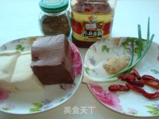 Spicy and Delicious Red and White Tofu recipe