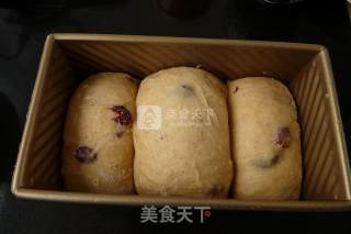 #aca烤明星大赛#cranberry Sorghum Toast recipe