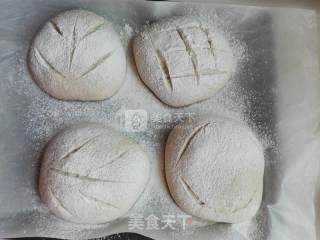 Sugar-free Oil Cheese Soft European Bread recipe