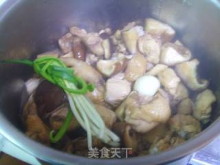 Simple Braised Chicken with Mushrooms recipe