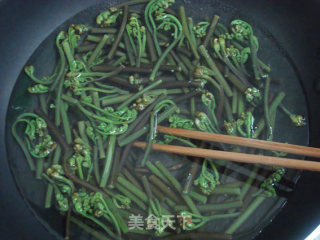 Bracken Fiddlehead recipe