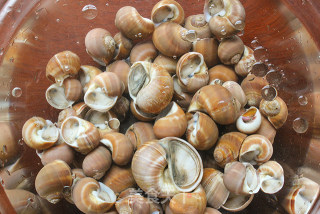 Stir-fried Snails with Sauce recipe