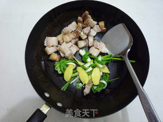 [ningbo] Braised Pork with Scallions recipe