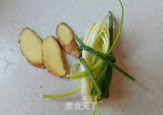 "home Cooking" Brine Shrimp recipe