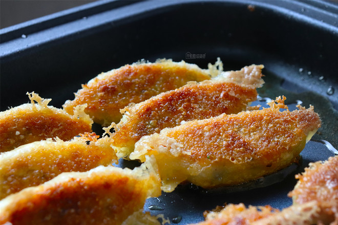 Zucchini Fried Dumplings recipe