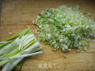 Pork and Scallion Pot Stickers recipe