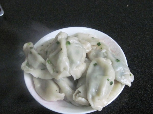 Pan-fried Dumplings recipe