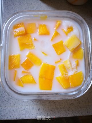 Mango Coconut Milk Jelly recipe