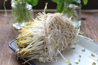 Homemade Mung Bean Sprouts recipe