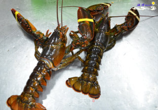 Stir-fried Boston Lobster with Butter recipe