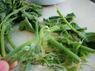 Stir-fried Pumpkin Vine with Garlic recipe