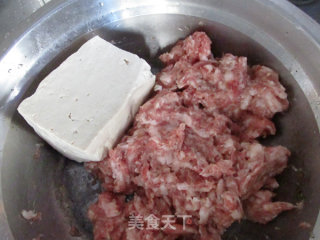 【jiangsu】lion Head in Tomato Sauce recipe