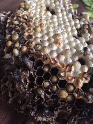 Crispy and Delicious Drooling Fried Bee Pupae recipe