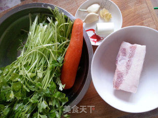 Stir-fried Pork Belly with Small Cress and Carrot recipe
