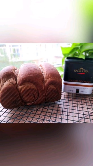Cocoa Bread