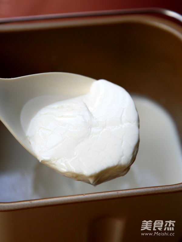 Bread Maker Version Yogurt recipe