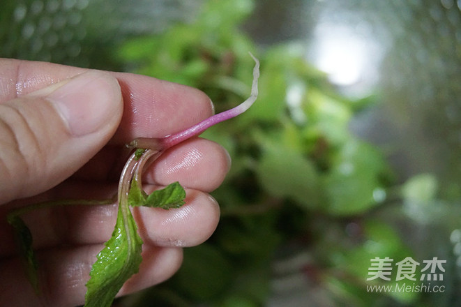 Cleverly Mixed Radish Seedlings recipe