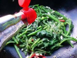 Stir-fried Pumpkin Vine with Garlic recipe