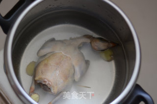 Matsutake Pigeon Soup recipe